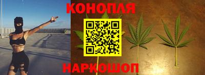 гидра Дубна