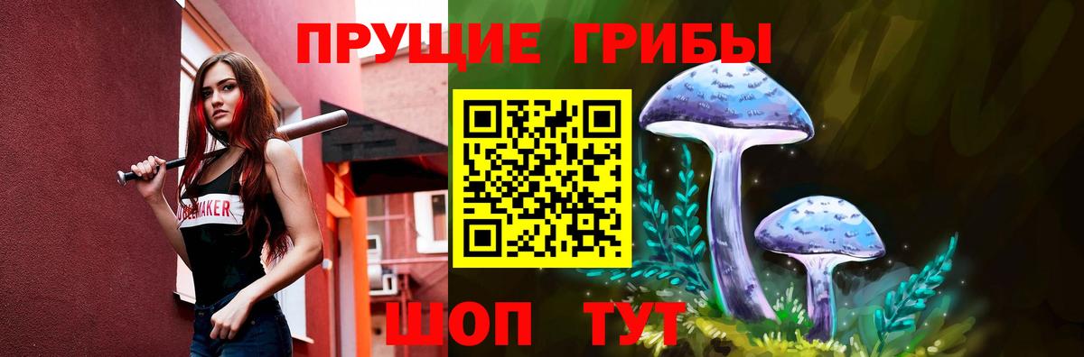 закладки  Вход с VPN  Междуреченск  Псилоцибиновые грибы прущие грибы 